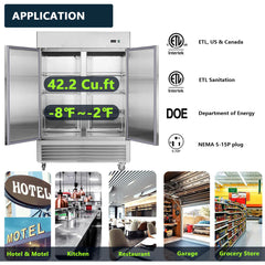 Chery Industrial 54"W Commercial Freezer 42 cu. ft. 2 Solid Door Reach-In Freezer (N818P191848S)